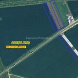 Timis Terenuri de vanzare – iesirea din Remetea Mare spre Autostrada